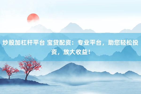 炒股加杠杆平台 宝贷配资：专业平台，助您轻松投资，放大收益！