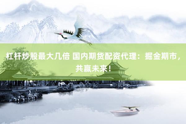杠杆炒股最大几倍 国内期货配资代理：掘金期市，共赢未来！